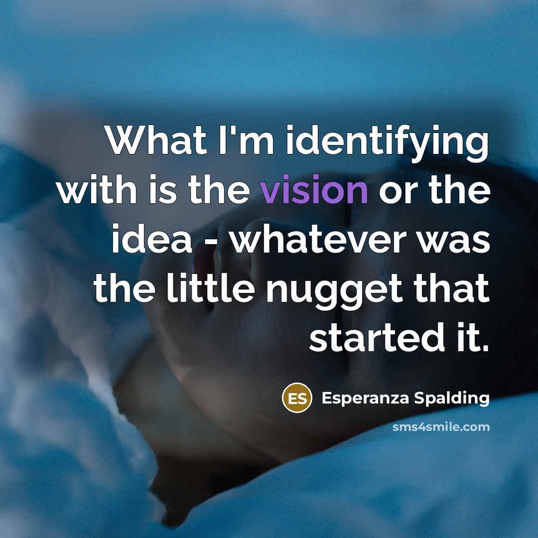 “What I'm identifying with is the vision or the idea - whatever was the little nugget that started it.” quote by Esperanza Spalding