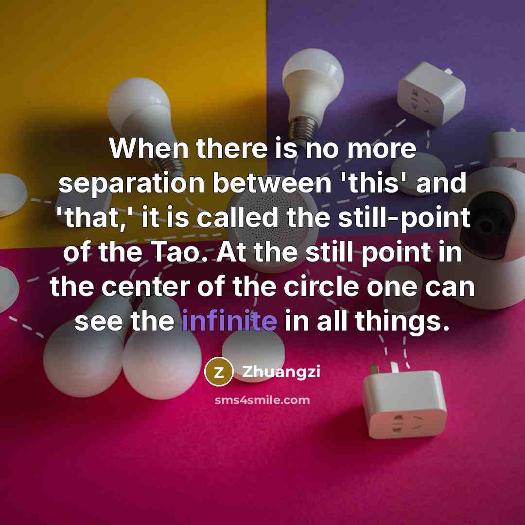 “When there is no more separation between 'this' and 'that,' it is called the still-point of the Tao. At the still point in the center of the circle one can see the infinite in all things.” quote by Zhuangzi