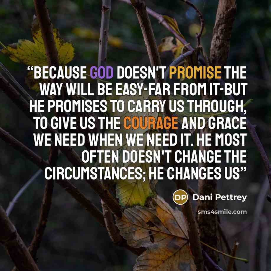 “Because God doesn't promise the way will be easy-far from it-but He promises to carry us through, to give us the courage and grace we need when we need it. He most often doesn't change the circumstances; He changes us” quote by Dani Pettrey