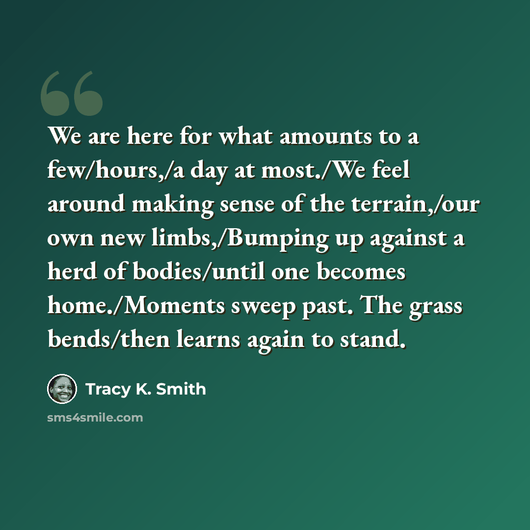 “We are here for what amounts to a few/hours,/a day at most./We feel around making sense of the terrain,/our own new limbs,/Bumping up against a herd of bodies/until one becomes home./Moments sweep past. The grass bends/then learns again to stand.” quote by Tracy K. Smith