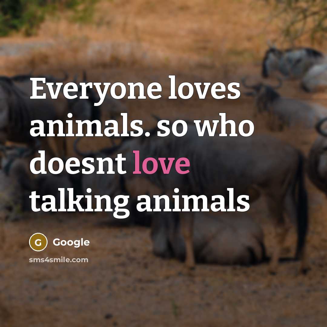 “Everyone loves animals. so who doesnt love talking animals” quote by Google