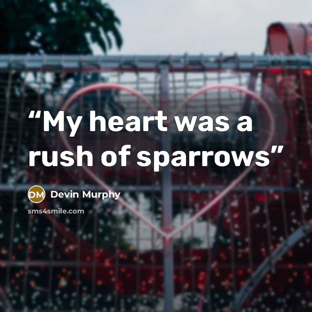 “My heart was a rush of sparrows” quote by Devin Murphy