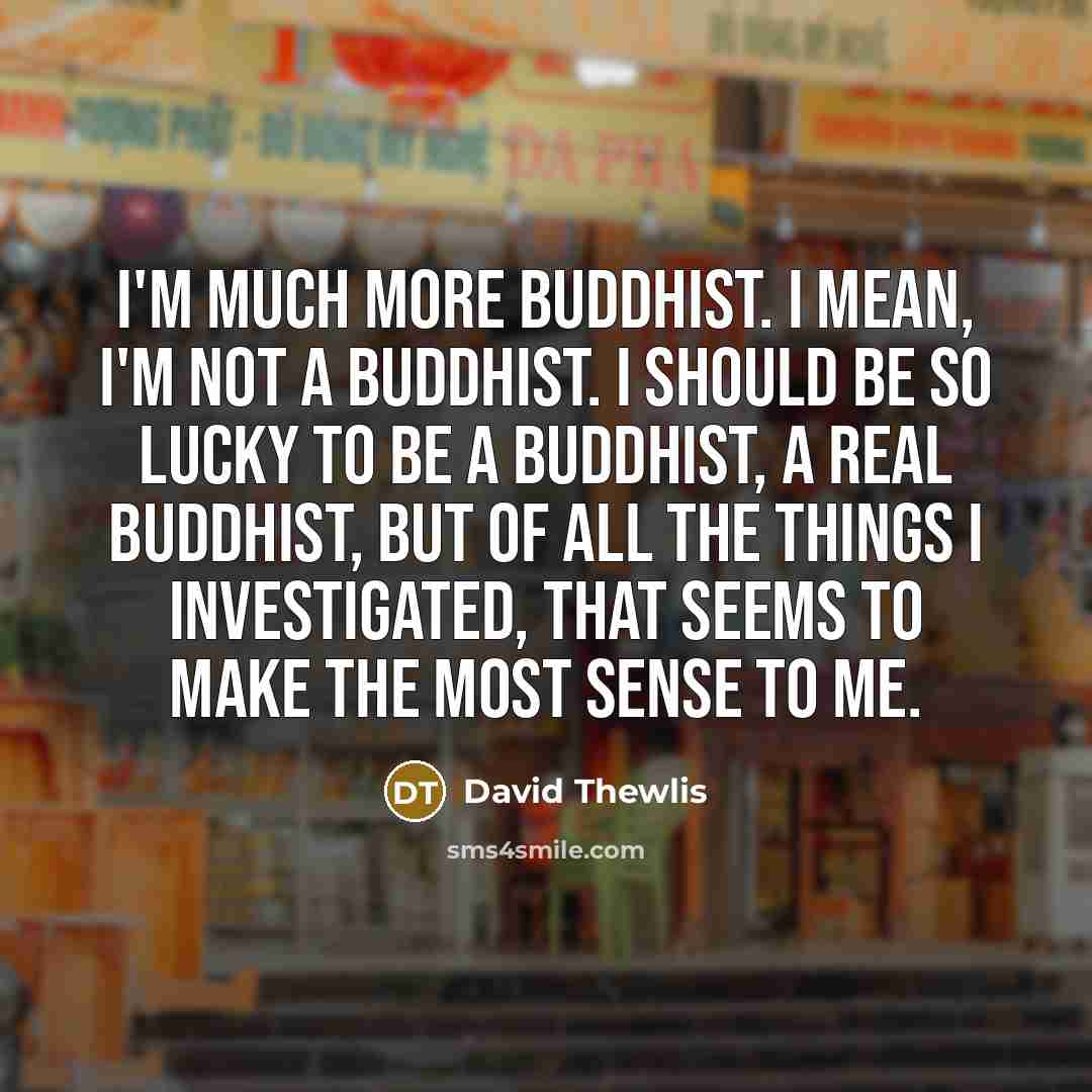 “I'm much more Buddhist. I mean, I'm not a Buddhist. I should be so lucky to be a Buddhist, a real Buddhist, but of all the things I investigated, that seems to make the most sense to me.” quote by David Thewlis