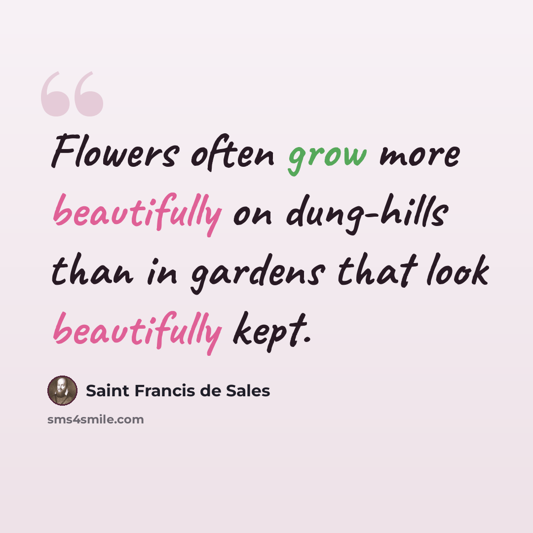 “Flowers often grow more beautifully on dung-hills than in gardens that look beautifully kept.” quote by Saint Francis de Sales