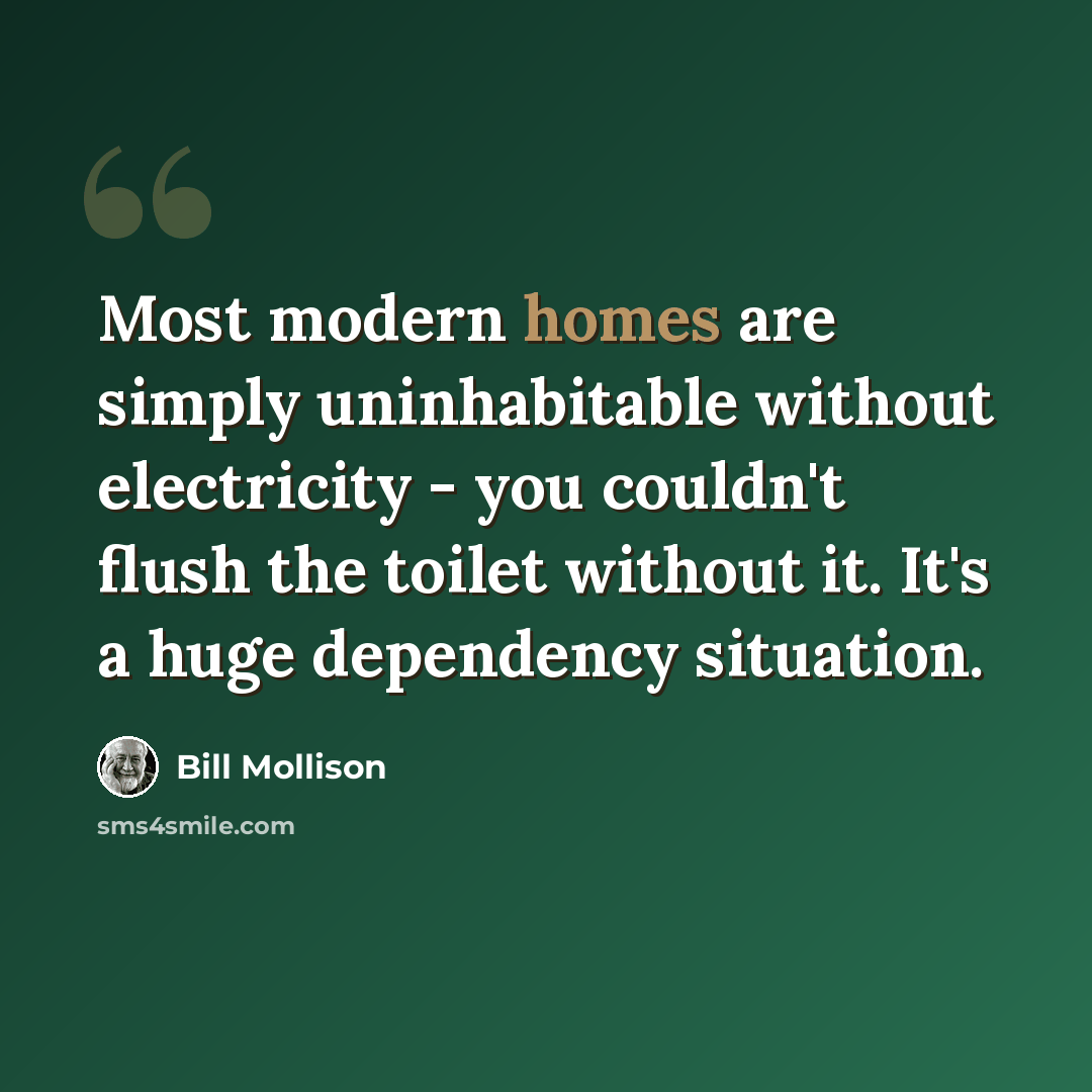 “Most modern homes are simply uninhabitable without electricity - you couldn't flush the toilet without it. It's a huge dependency situation.” quote by Bill Mollison