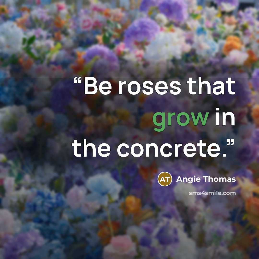 “Be roses that grow in the concrete.” quote by Angie Thomas