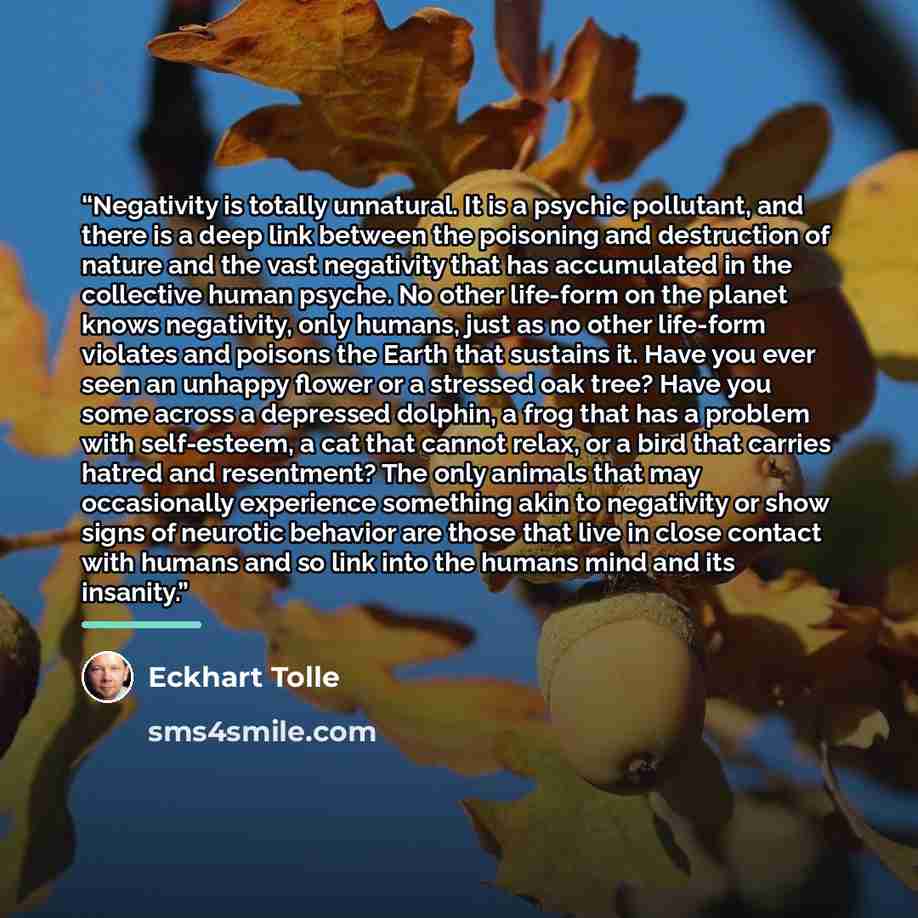 “Negativity is totally unnatural. It is a psychic pollutant, and there is a deep link between the poisoning and destruction of nature and the vast negativity that has accumulated in the collective human psyche. No other life-form on the planet knows negativity, only humans, just as no other…” quote by Eckhart Tolle