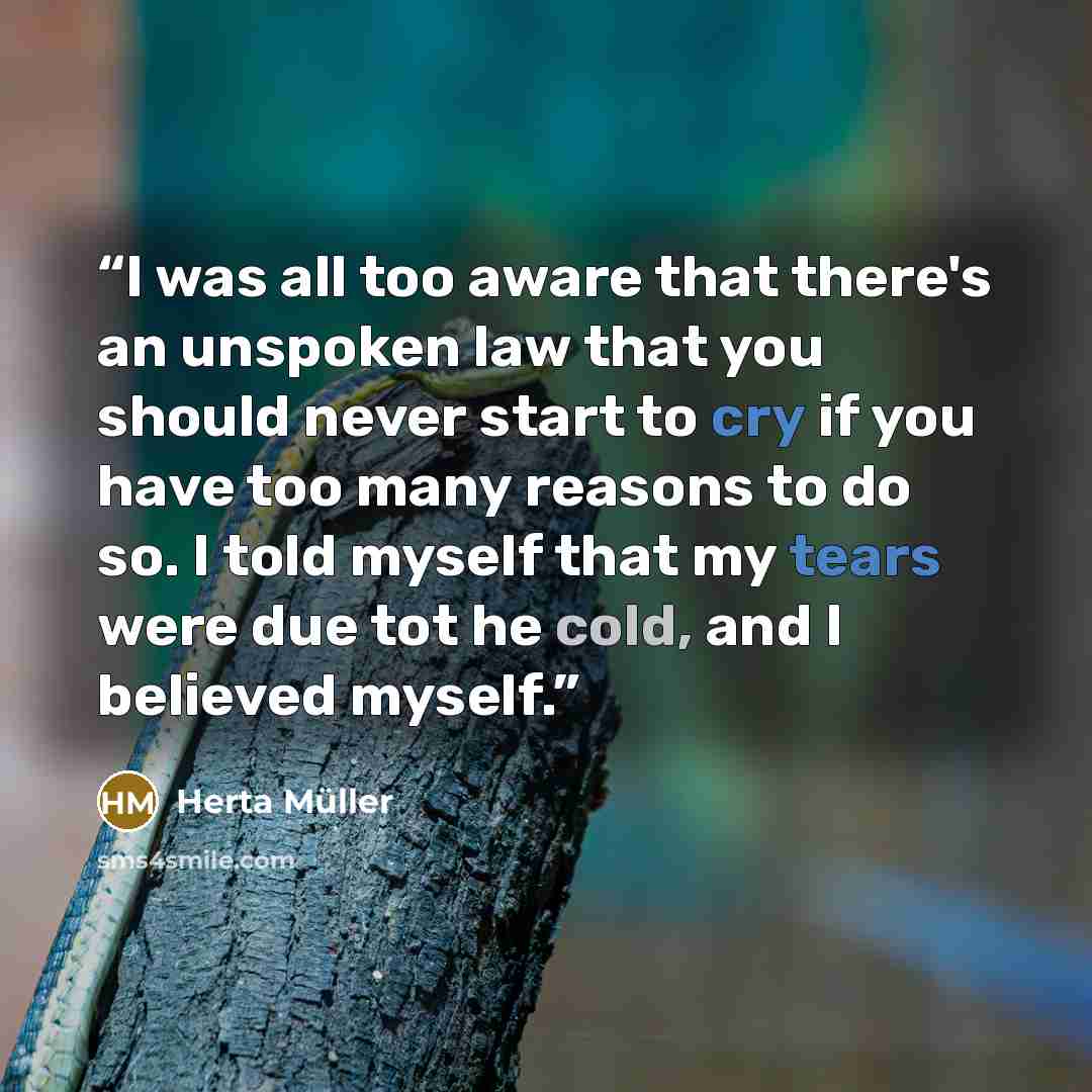 “I was all too aware that there's an unspoken law that you should never start to cry if you have too many reasons to do so. I told myself that my tears were due tot he cold, and I believed myself.” quote by Herta Müller