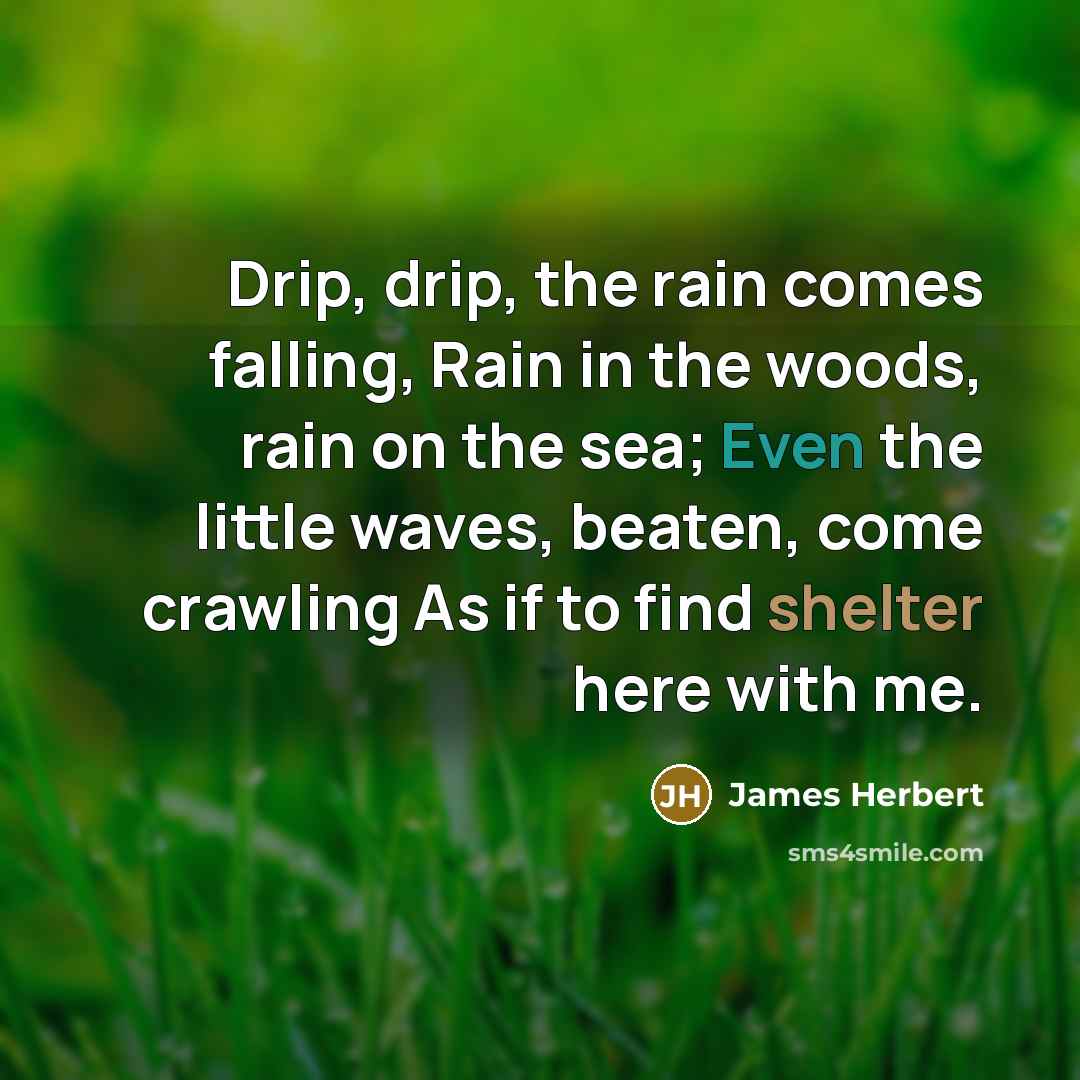 “Drip, drip, the rain comes falling, Rain in the woods, rain on the sea; Even the little waves, beaten, come crawling As if to find shelter here with me.” quote by James Herbert