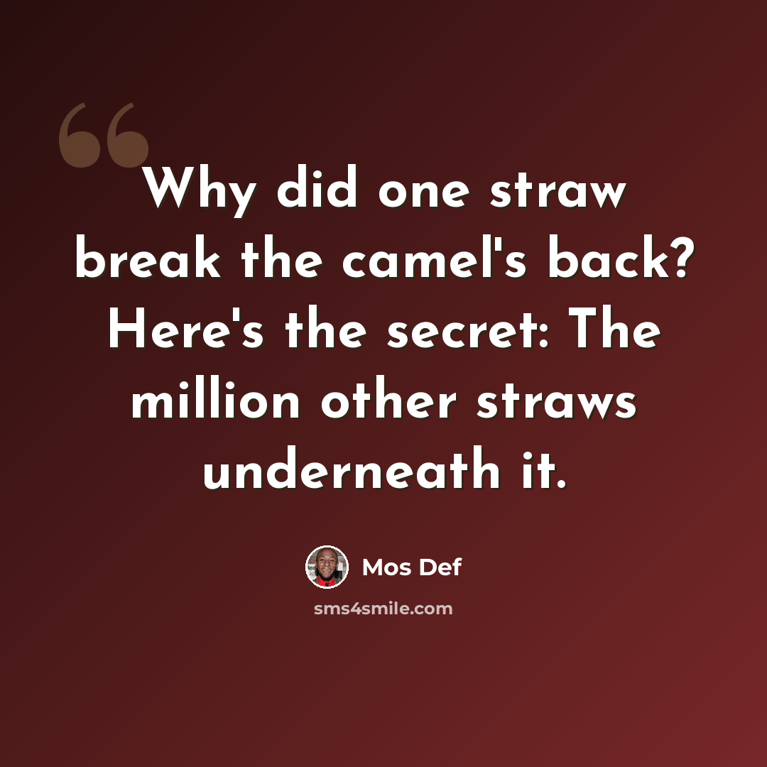 “Why did one straw break the camel's back? Here's the secret: The million other straws underneath it.” quote by Mos Def