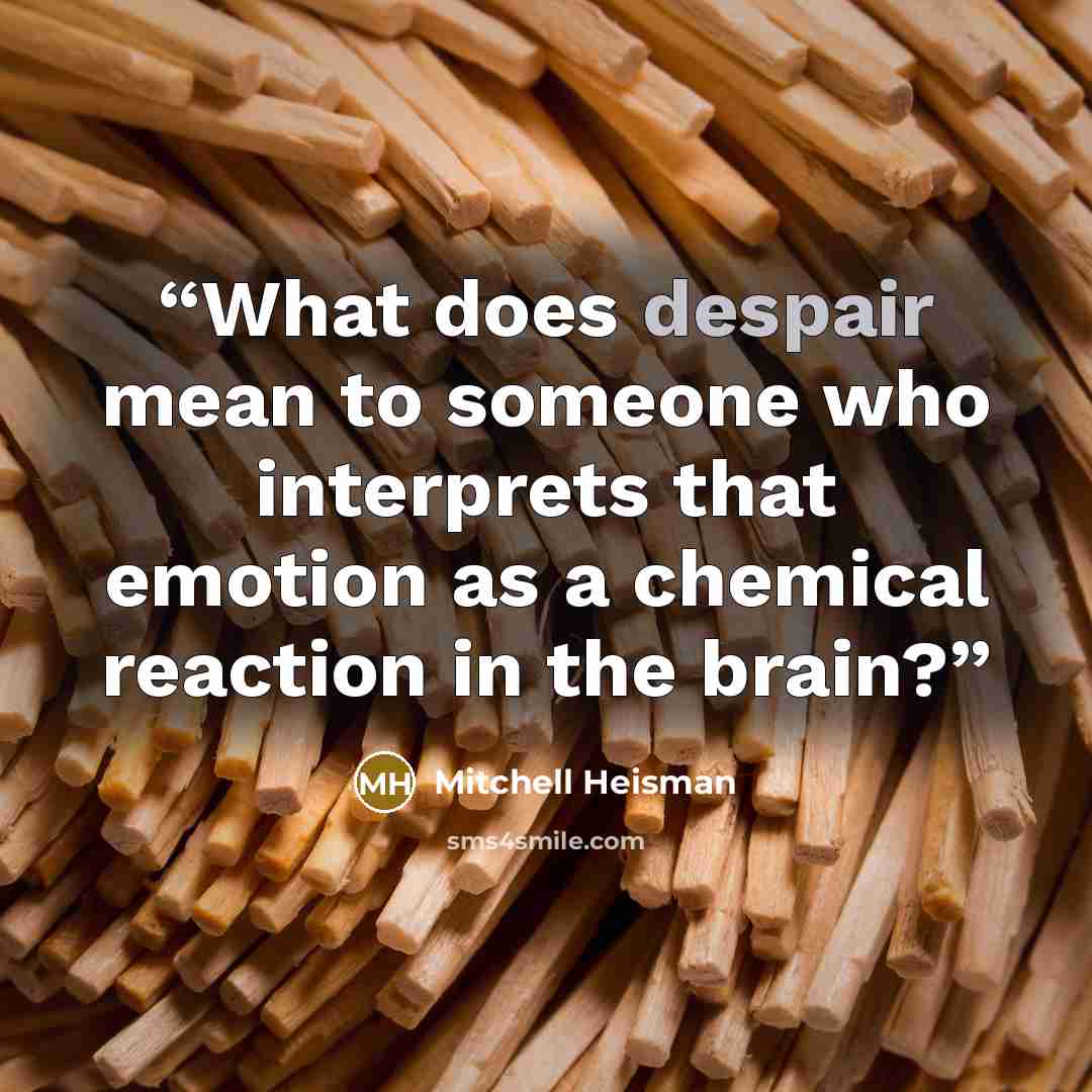 “What does despair mean to someone who interprets that emotion as a chemical reaction in the brain?” quote by Mitchell Heisman