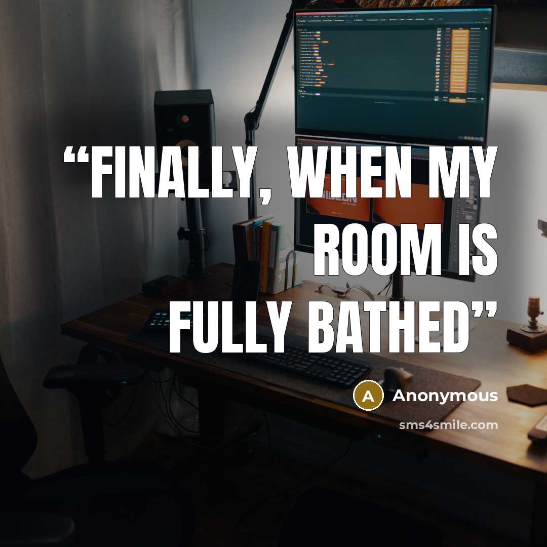 “Finally, when my room is fully bathed” quote by Anonymous