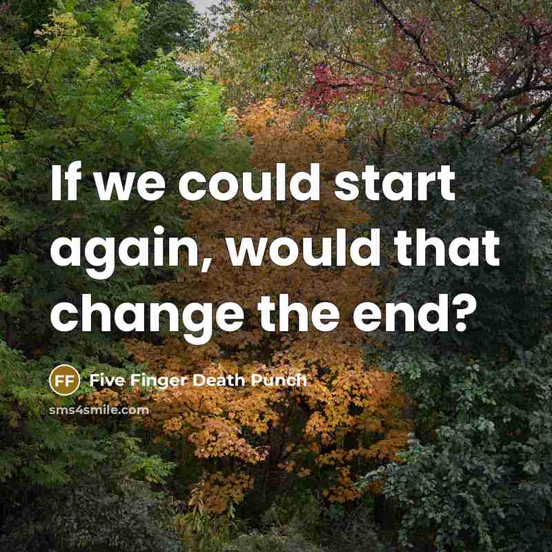 “If we could start again, would that change the end?” quote by Five Finger Death Punch