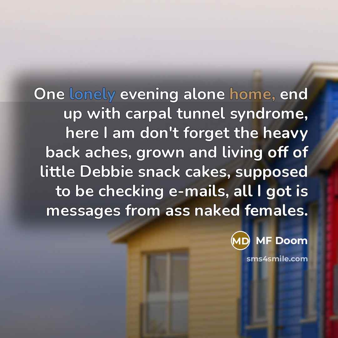 “One lonely evening alone home, end up with carpal tunnel syndrome, here I am don't forget the heavy back aches, grown and living off of little Debbie snack cakes, supposed to be checking e-mails, all I got is messages from ass naked females.” quote by MF Doom