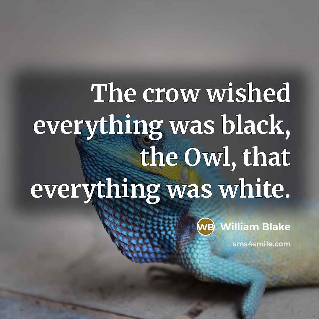 “The crow wished everything was black, the Owl, that everything was white.” quote by William Blake