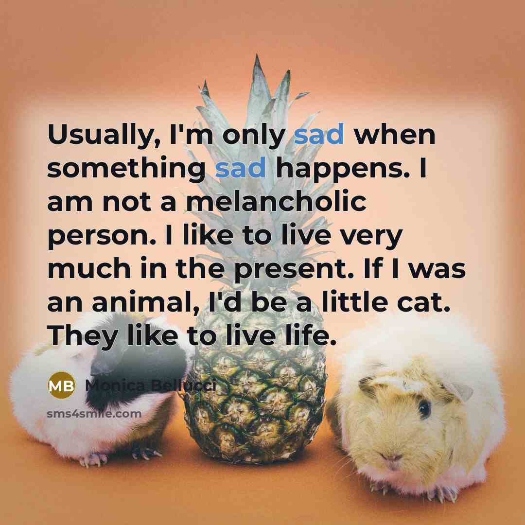 “Usually, I'm only sad when something sad happens. I am not a melancholic person. I like to live very much in the present. If I was an animal, I'd be a little cat. They like to live life.” quote by Monica Bellucci