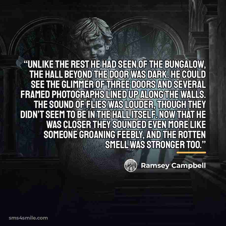 “Unlike the rest he had seen of the bungalow, the hall beyond the door was dark. He could see the glimmer of three doors and several framed photographs lined up along the walls. The sound of flies was louder, though they didn’t seem to be in the hall itself. Now that he was closer they sounded even…” quote by Ramsey Campbell