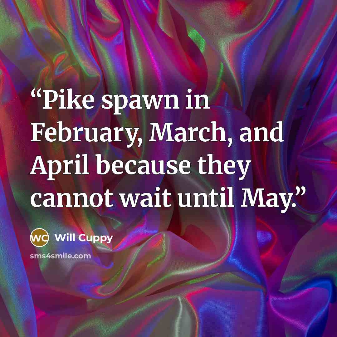 “Pike spawn in February, March, and April because they cannot wait until May.” quote by Will Cuppy