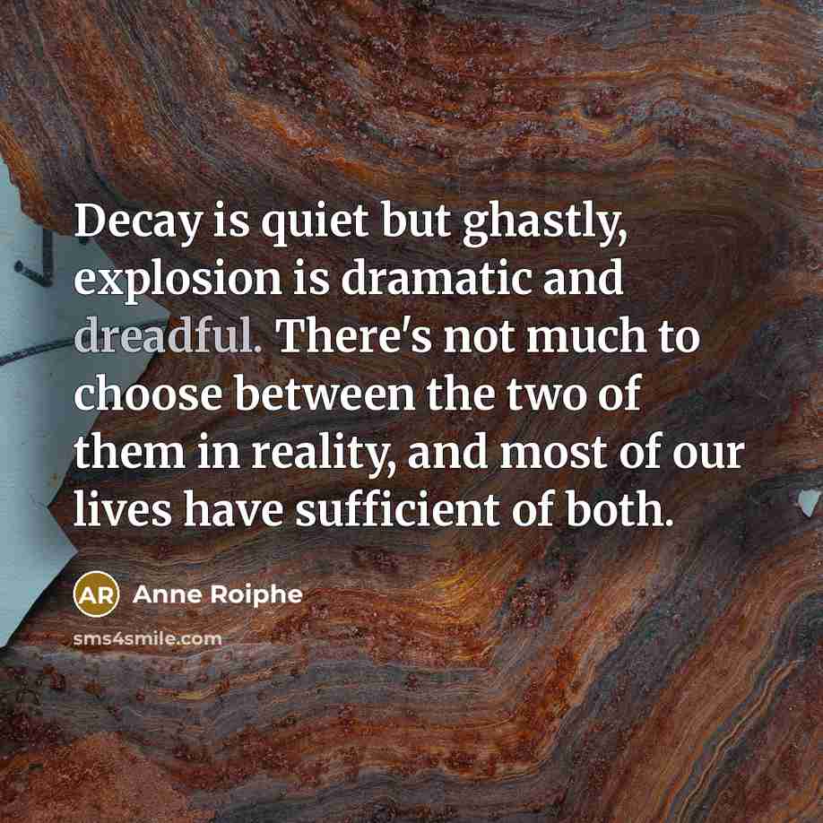 “Decay is quiet but ghastly, explosion is dramatic and dreadful. There's not much to choose between the two of them in reality, and most of our lives have sufficient of both.” quote by Anne Roiphe