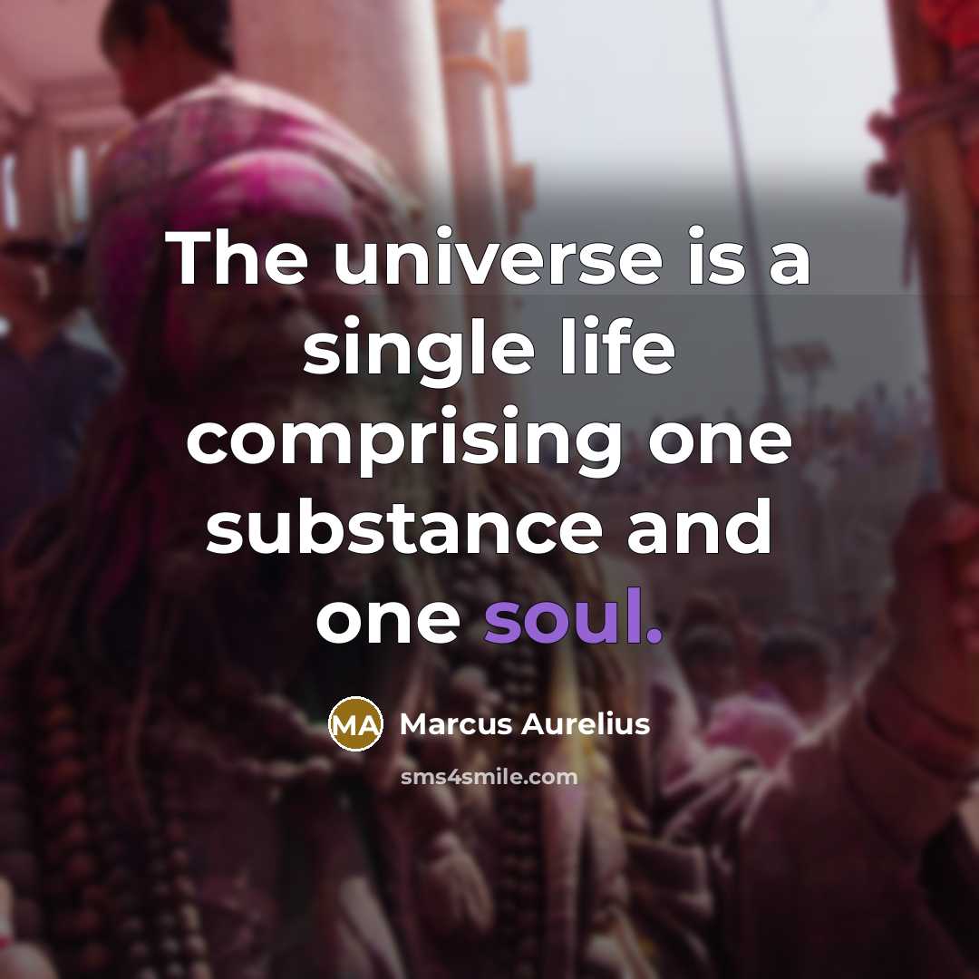 “The universe is a single life comprising one substance and one soul.” quote by Marcus Aurelius