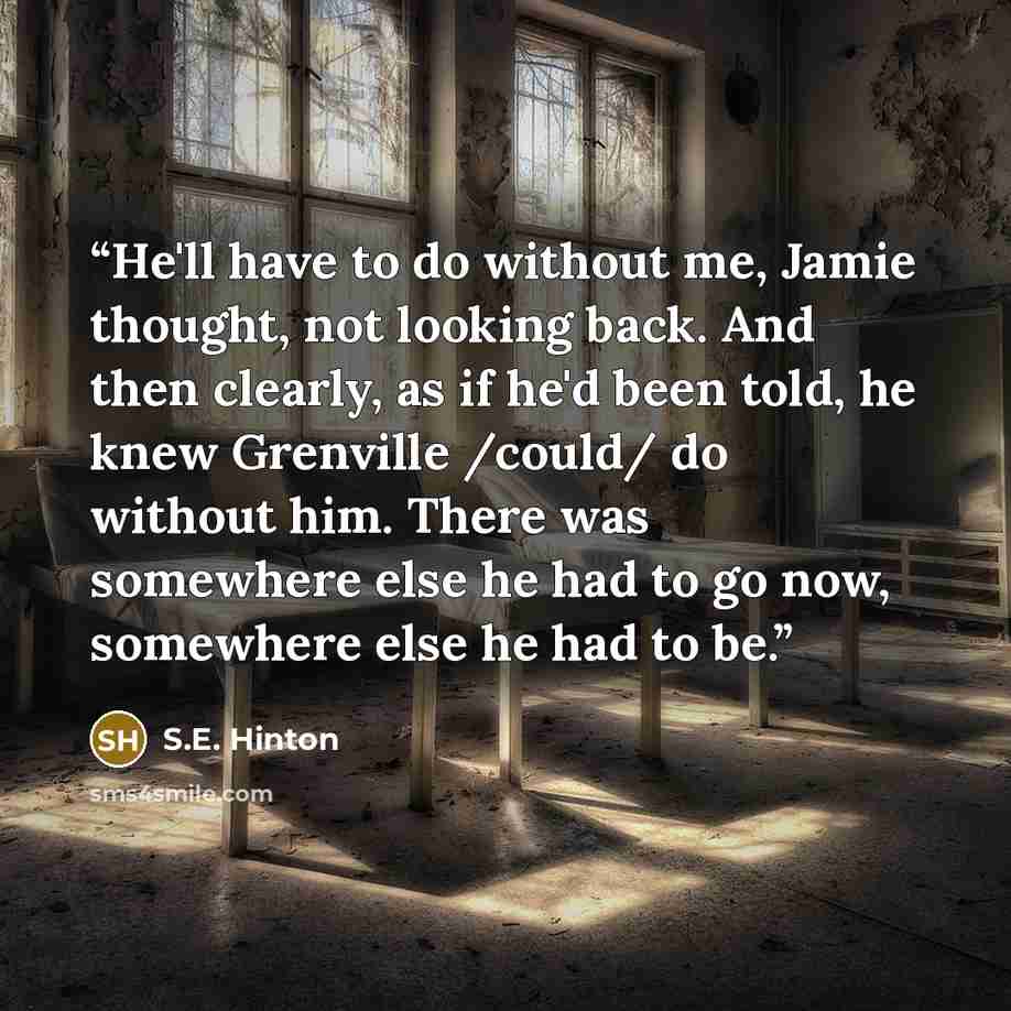 “He'll have to do without me, Jamie thought, not looking back. And then clearly, as if he'd been told, he knew Grenville /could/ do without him. There was somewhere else he had to go now, somewhere else he had to be.” quote by S.E. Hinton