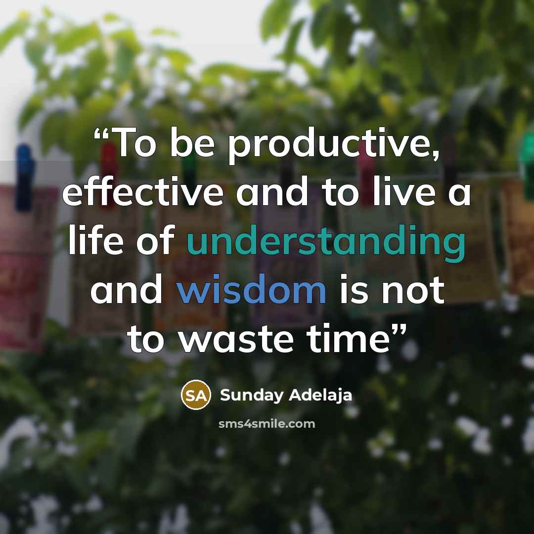 “To be productive, effective and to live a life of understanding and wisdom is not to waste time” quote by Sunday Adelaja
