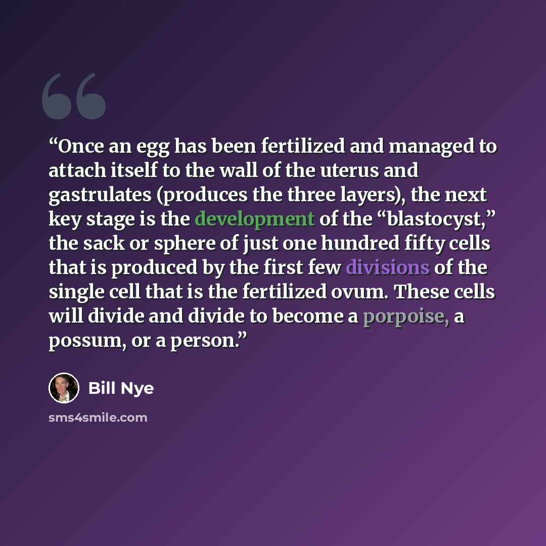 “Once an egg has been fertilized and managed to attach itself to the wall of the uterus and gastrulates (produces the three layers), the next key stage is the development of the “blastocyst,” the sack or sphere of just one hundred fifty cells that is produced by the first few divisions of the…” quote by Bill Nye