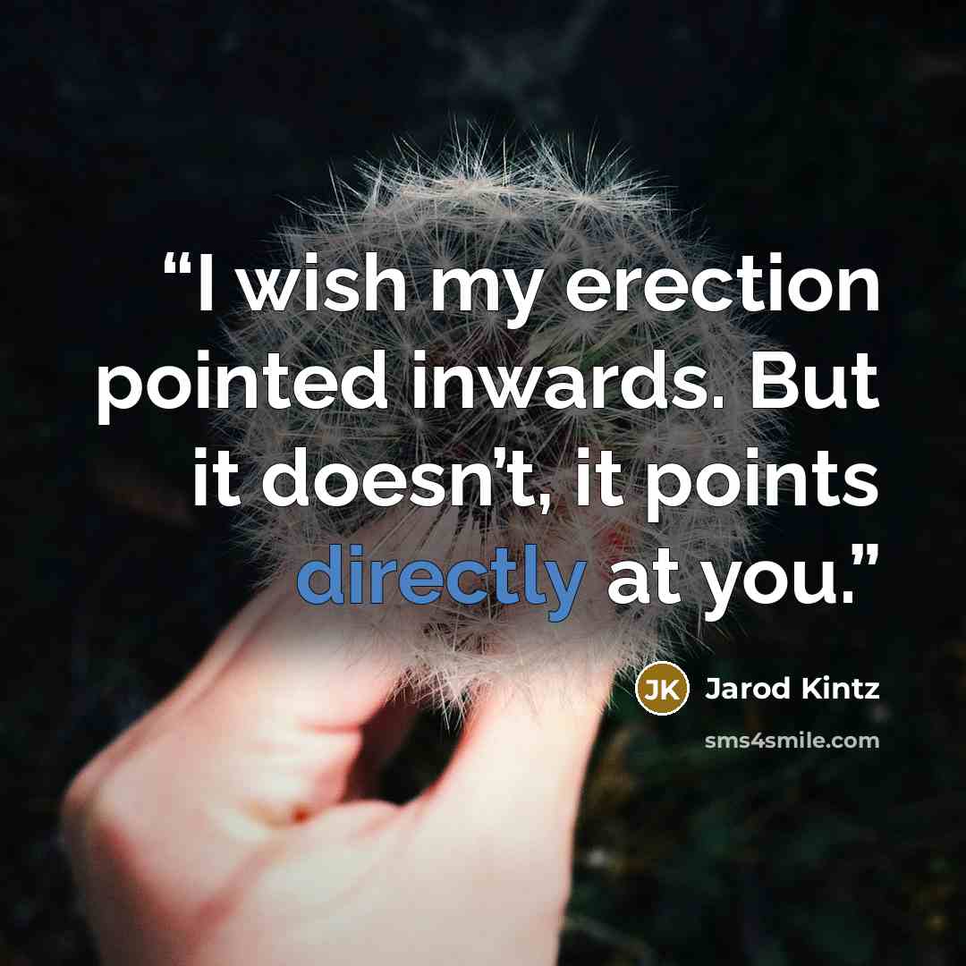 “I wish my erection pointed inwards. But it doesn’t, it points directly at you.” quote by Jarod Kintz