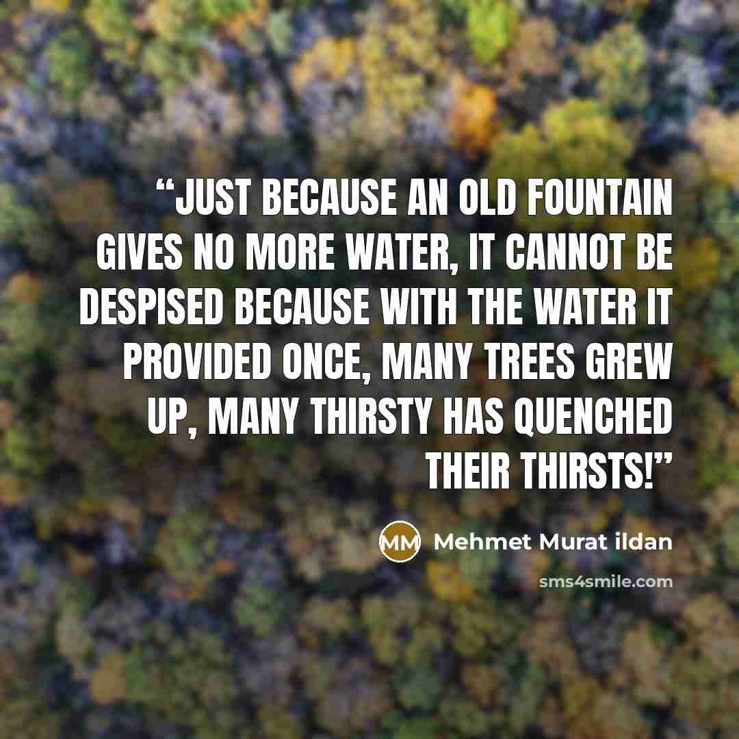 “Just because an old fountain gives no more water, it cannot be despised because with the water it provided once, many trees grew up, many thirsty has quenched their thirsts!” quote by Mehmet Murat ildan