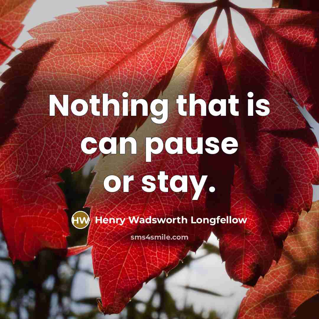 “Nothing that is can pause or stay.” quote by Henry Wadsworth Longfellow