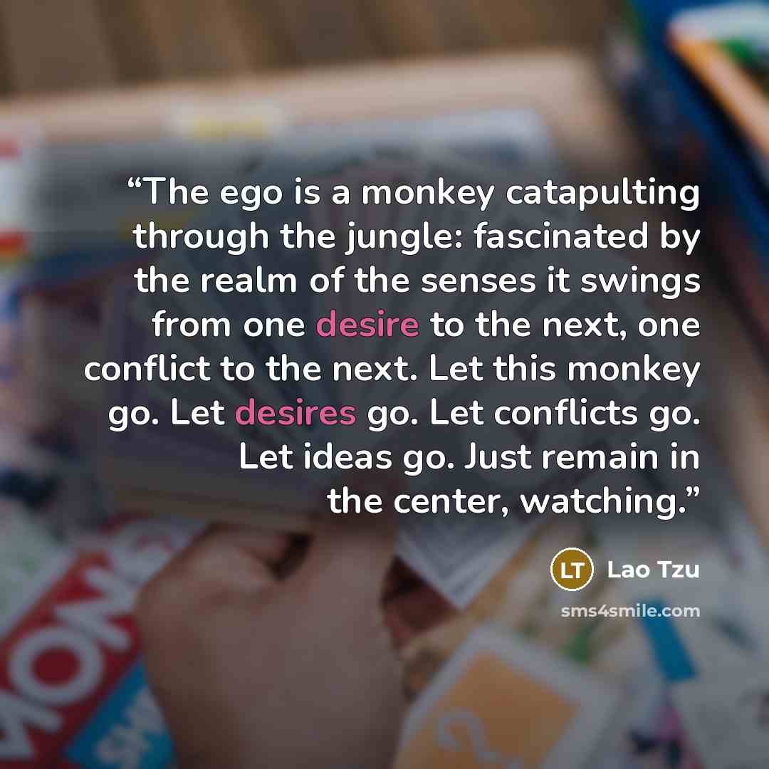 “The ego is a monkey catapulting through the jungle: fascinated by the realm of the senses it swings from one desire to the next, one conflict to the next. Let this monkey go. Let desires go. Let conflicts go. Let ideas go. Just remain in the center, watching.” quote by Lao Tzu