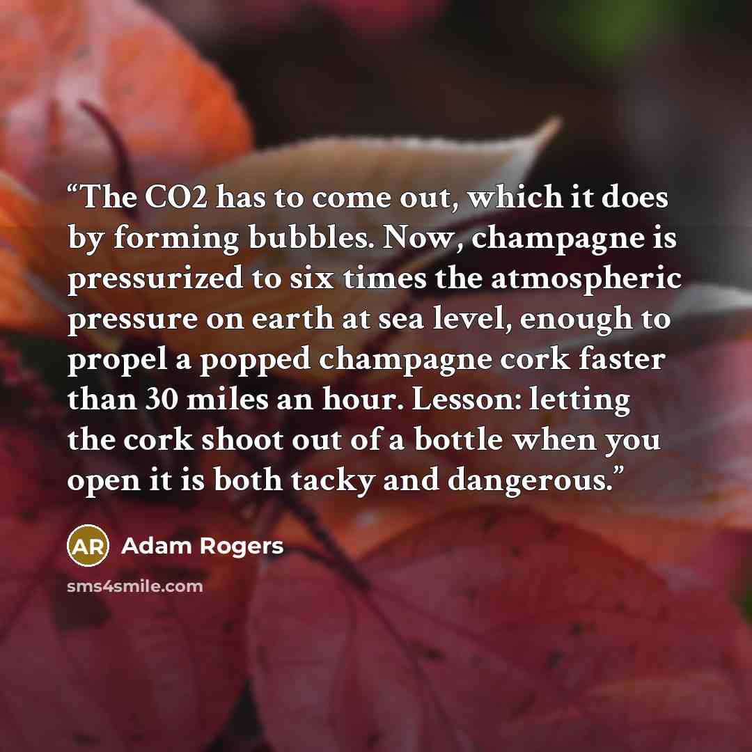 “The CO2 has to come out, which it does by forming bubbles. Now, champagne is pressurized to six times the atmospheric pressure on earth at sea level, enough to propel a popped champagne cork faster than 30 miles an hour. Lesson: letting the cork shoot out of a bottle when you open it is both tacky…” quote by Adam Rogers