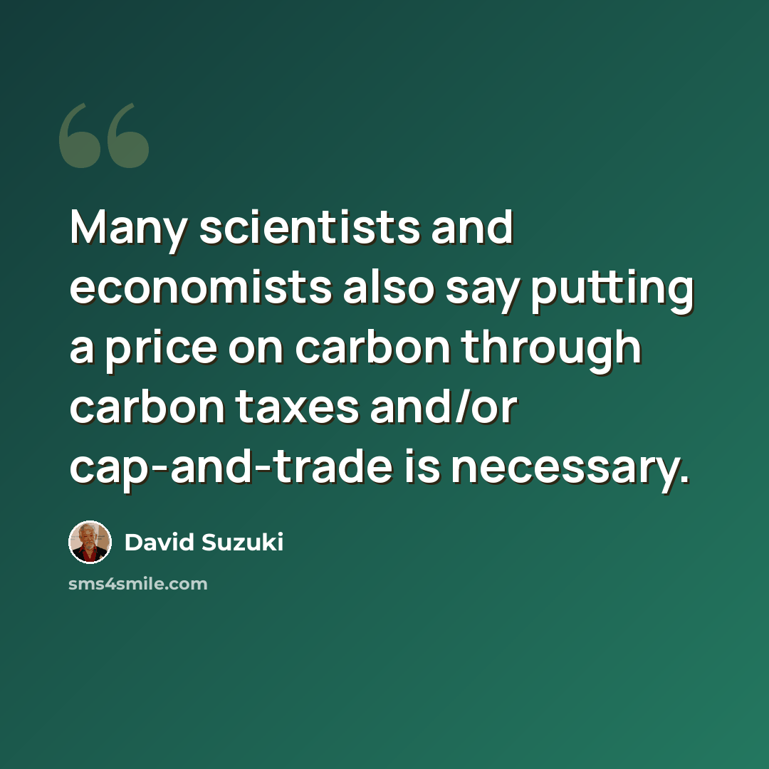 “Many scientists and economists also say putting a price on carbon through carbon taxes and/or cap-and-trade is necessary.” quote by David Suzuki