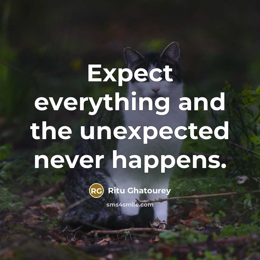 “Expect everything and the unexpected never happens.” quote by Ritu Ghatourey