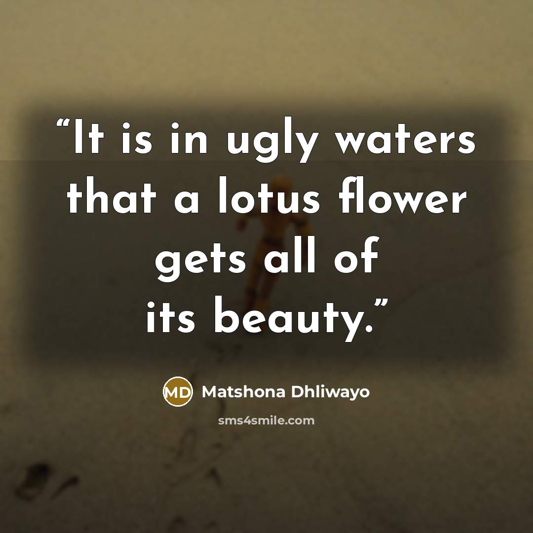 “It is in ugly waters that a lotus flower gets all of its beauty.” quote by Matshona Dhliwayo