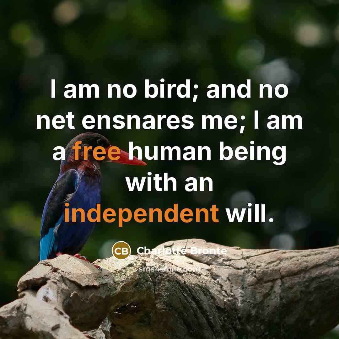 “I am no bird; and no net ensnares me; I am a free human being with an independent will.” quote by Charlotte Bronte