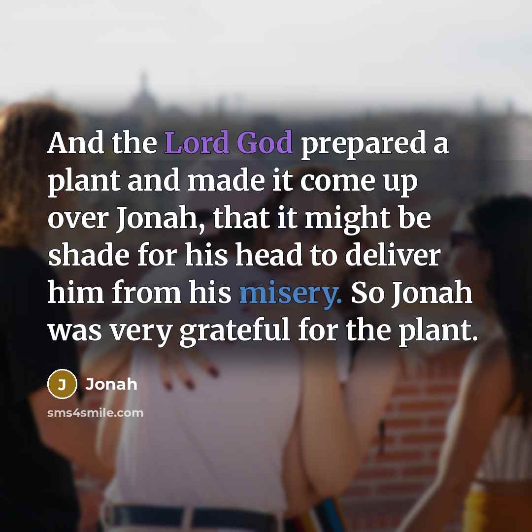 “And the Lord God prepared a plant and made it come up over Jonah, that it might be shade for his head to deliver him from his misery. So Jonah was very grateful for the plant.” quote by Jonah