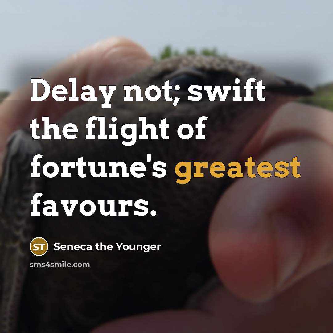 “Delay not; swift the flight of fortune's greatest favours.” quote by Seneca the Younger