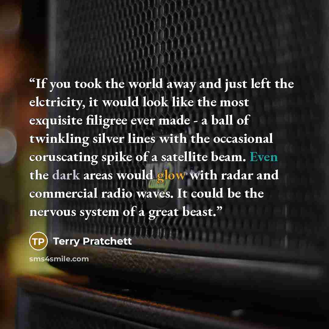 “If you took the world away and just left the elctricity, it would look like the most exquisite filigree ever made - a ball of twinkling silver lines with the occasional coruscating spike of a satellite beam. Even the dark areas would glow with radar and commercial radio waves. It could be the…” quote by Terry Pratchett