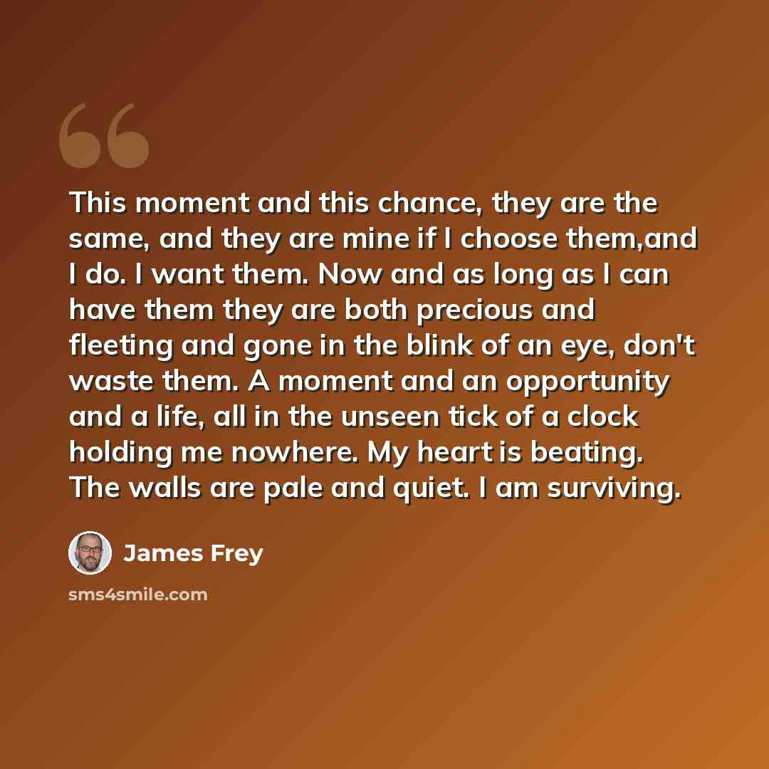 “This moment and this chance, they are the same, and they are mine if I choose them,and I do. I want them. Now and as long as I can have them they are both precious and fleeting and gone in the blink of an eye, don't waste them. A moment and an opportunity and a life, all in the unseen tick of a…” quote by James Frey
