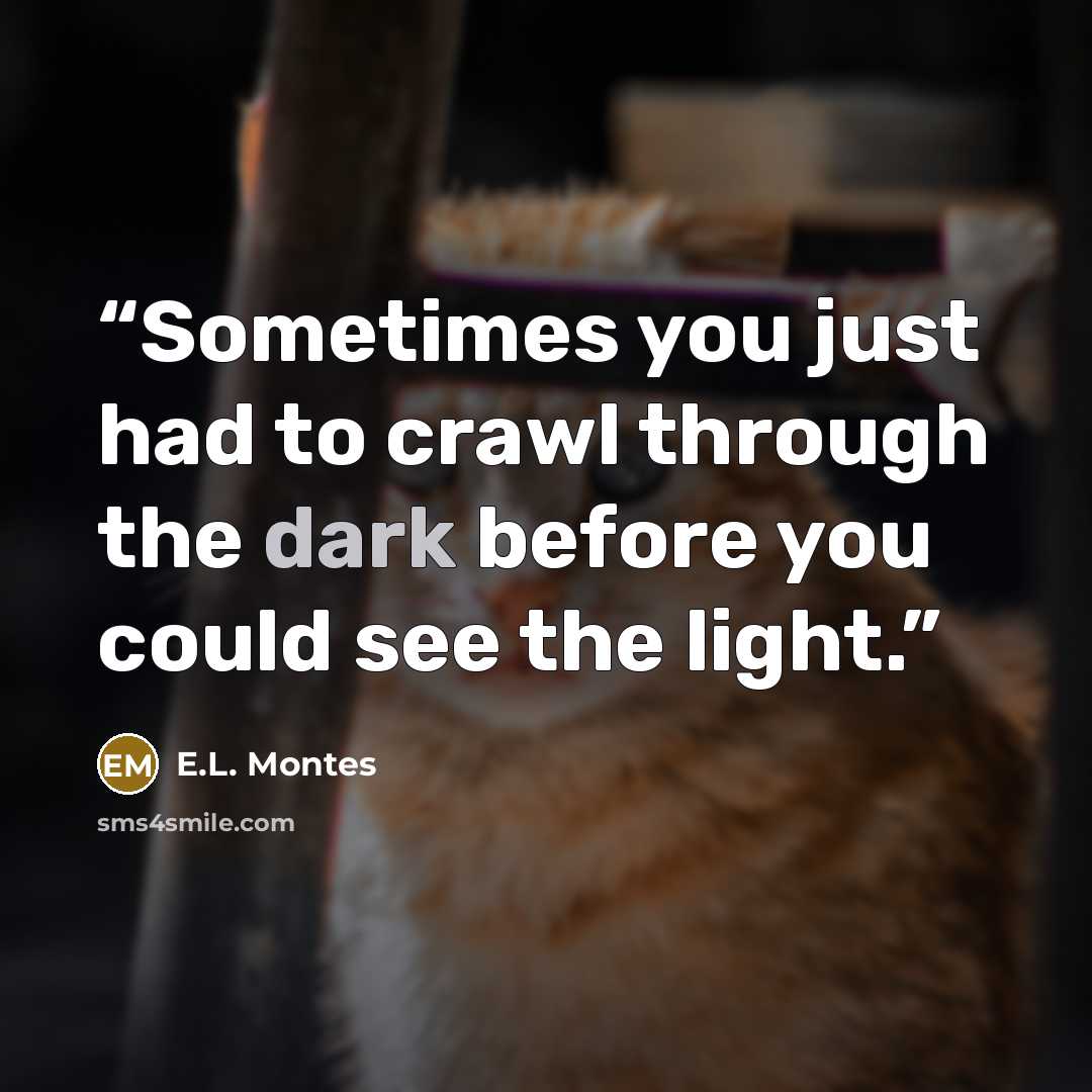 “Sometimes you just had to crawl through the dark before you could see the light.” quote by E.L. Montes