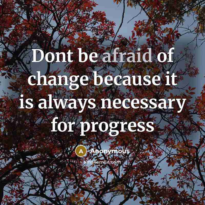 “Dont be afraid of change because it is always necessary for progress” quote by Anonymous