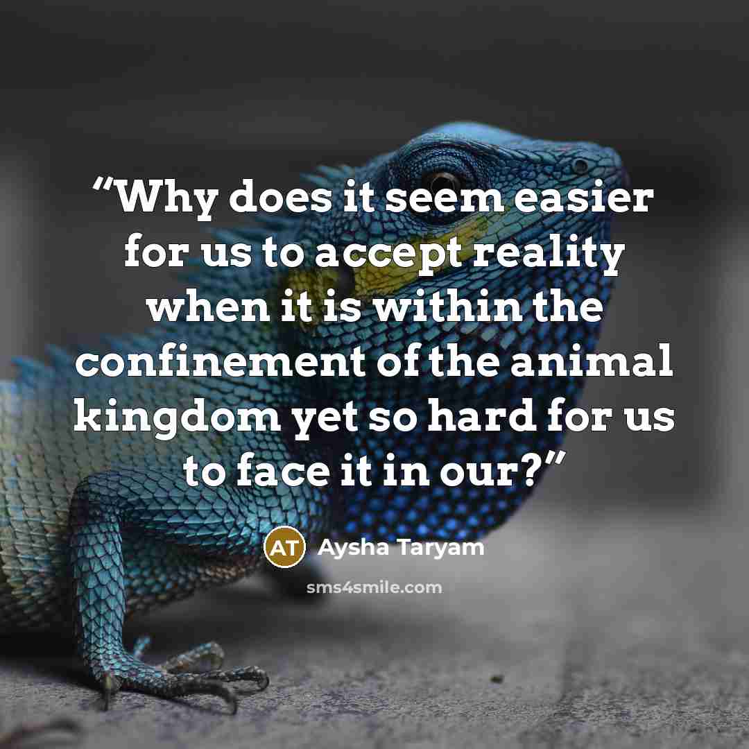“Why does it seem easier for us to accept reality when it is within the confinement of the animal kingdom yet so hard for us to face it in our?” quote by Aysha Taryam