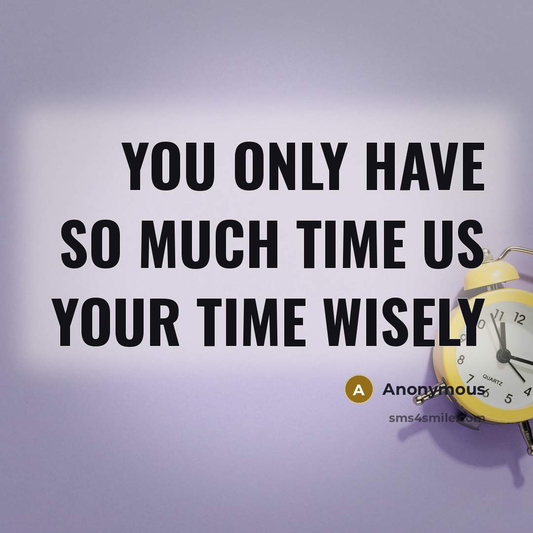 “You only have so much time us your time wisely” quote by Anonymous