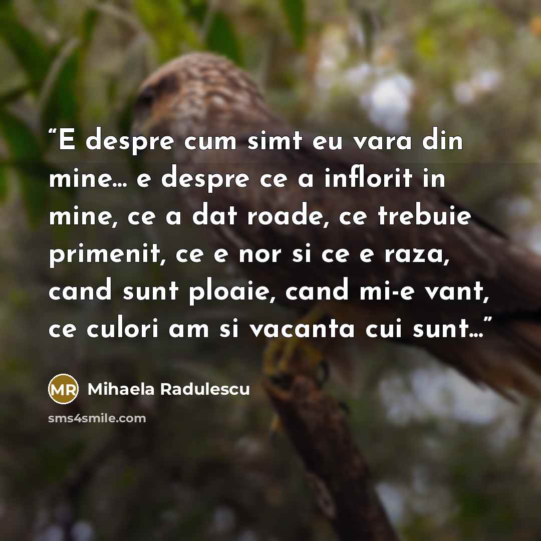 “E despre cum simt eu vara din mine... e despre ce a inflorit in mine, ce a dat roade, ce trebuie primenit, ce e nor si ce e raza, cand sunt ploaie, cand mi-e vant, ce culori am si vacanta cui sunt...” quote by Mihaela Radulescu