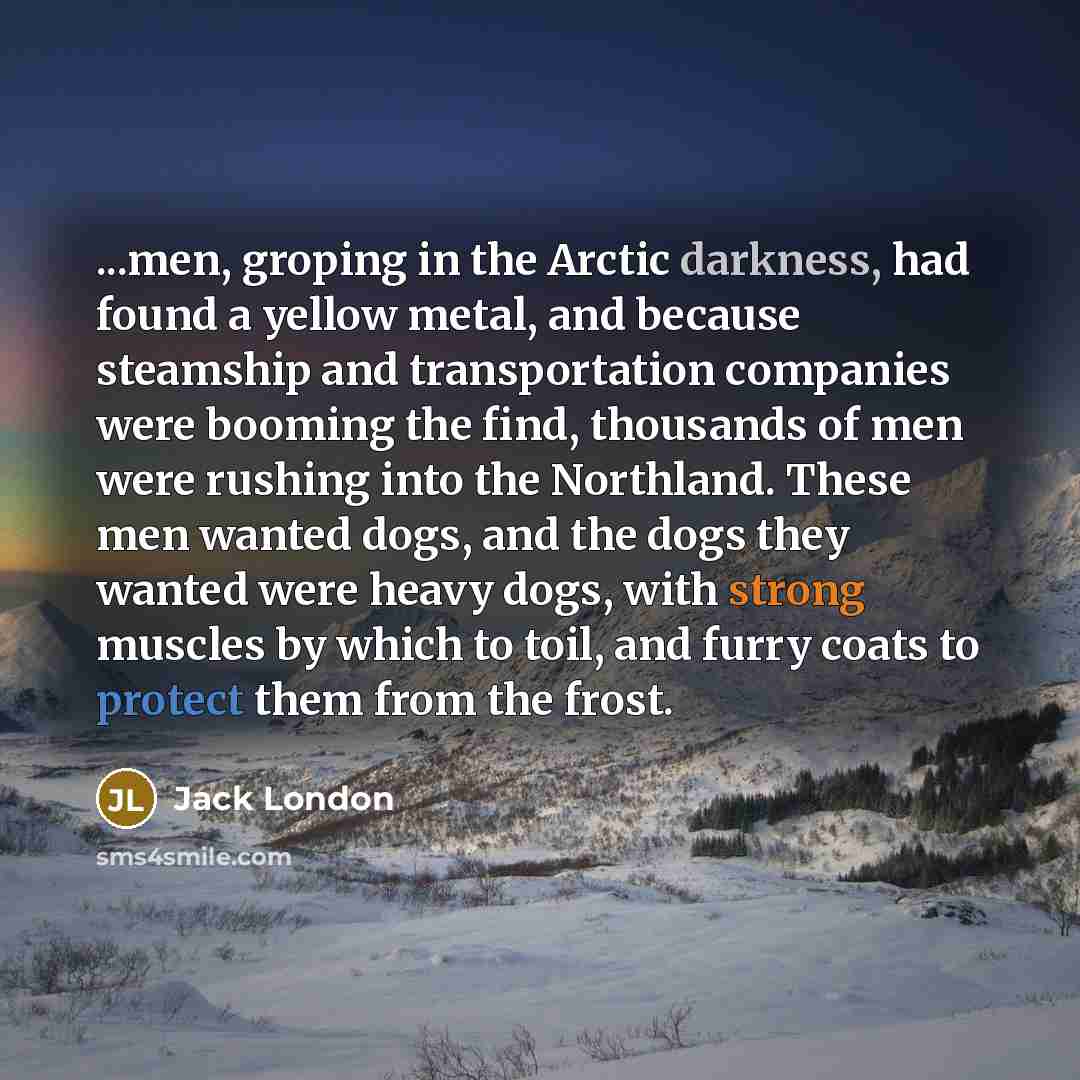 “...men, groping in the Arctic darkness, had found a yellow metal, and because steamship and transportation companies were booming the find, thousands of men were rushing into the Northland. These men wanted dogs, and the dogs they wanted were heavy dogs, with strong muscles by which to toil, and…” quote by Jack London