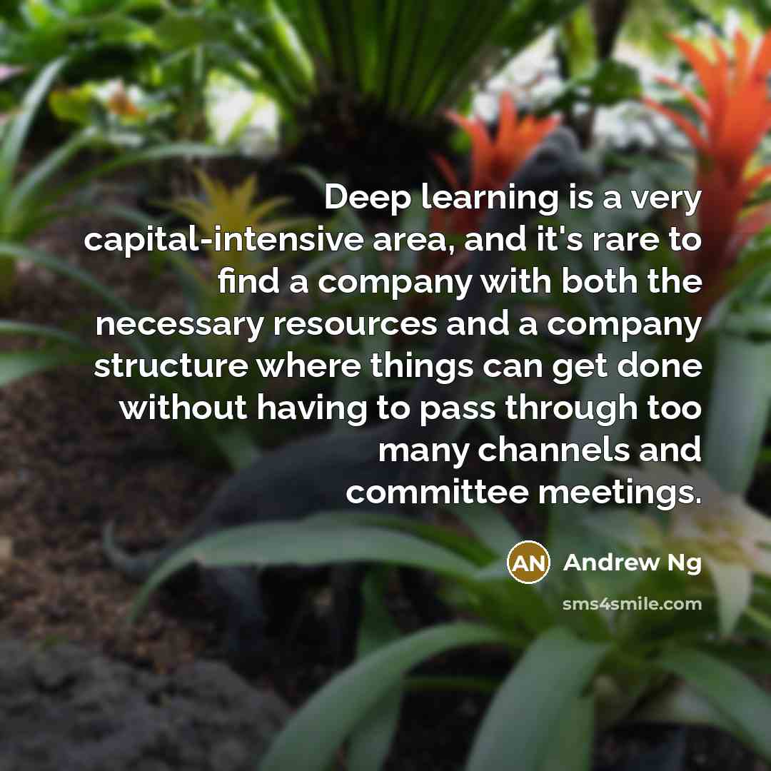 “Deep learning is a very capital-intensive area, and it's rare to find a company with both the necessary resources and a company structure where things can get done without having to pass through too many channels and committee meetings.” quote by Andrew Ng