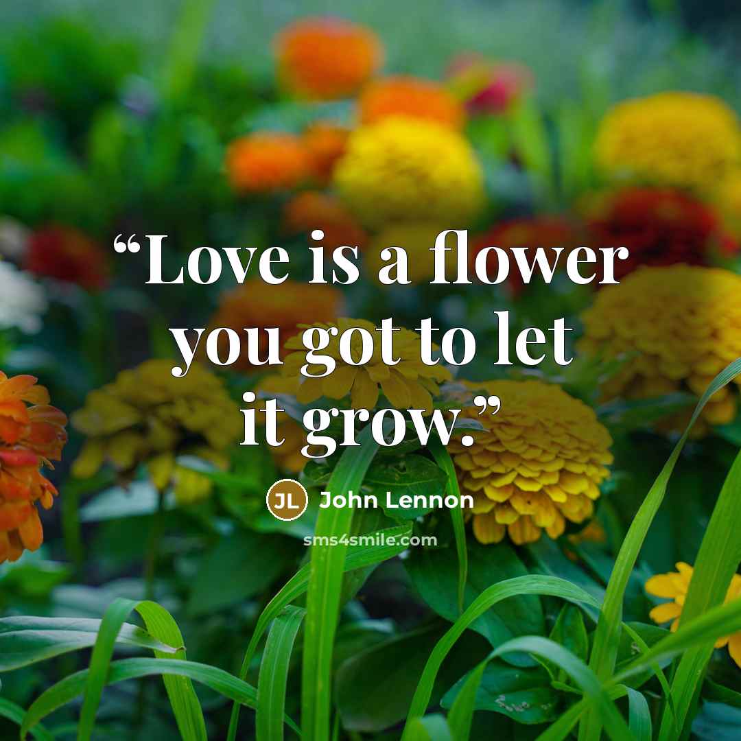 “Love is a flower you got to let it grow.” quote by John Lennon