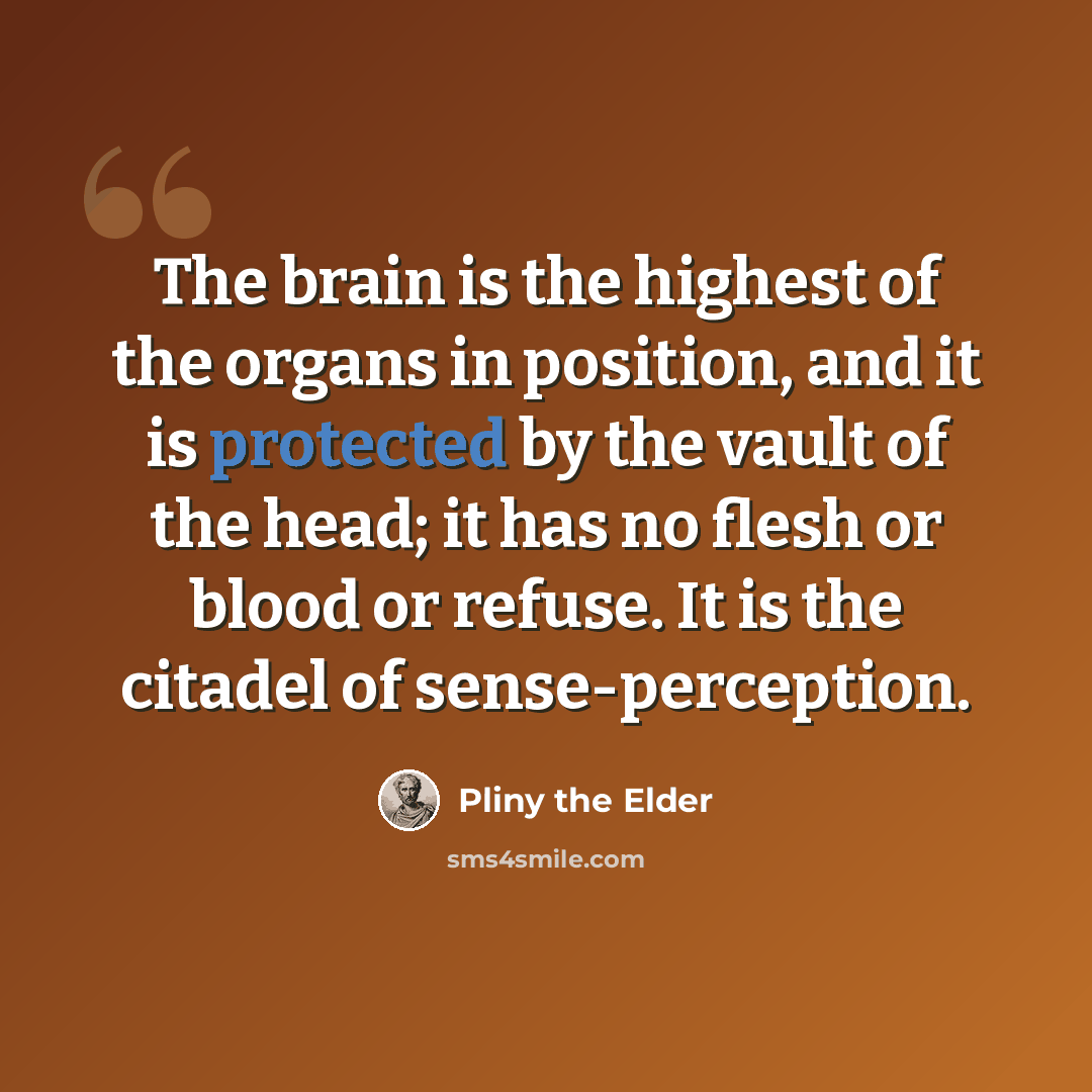 “The brain is the highest of the organs in position, and it is protected by the vault of the head; it has no flesh or blood or refuse. It is the citadel of sense-perception.” quote by Pliny the Elder