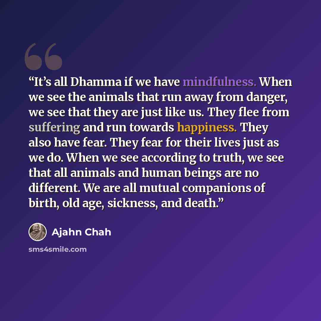 “It’s all Dhamma if we have mindfulness. When we see the animals that run away from danger, we see that they are just like us. They flee from suffering and run towards happiness. They also have fear. They fear for their lives just as we do. When we see according to truth, we see that all animals…” quote by Ajahn Chah